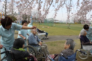 お花見