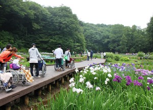 吹上花しょうぶまつり見学