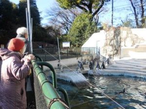 ペンギンかわいいね！